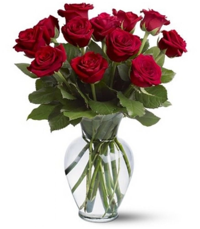 Dozen 40cm Red Roses in a gift wrap Flowers Delivery 4 U Southall