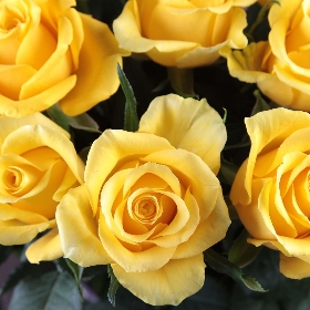 Classic Yellow Roses Bouquet