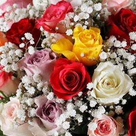 Mixed Roses With Gypsophilia