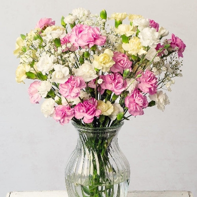 Magnificient Spray Carnations