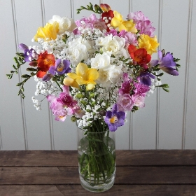 Simply Freesias