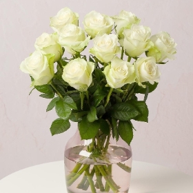 12 White Roses in a gift wrap