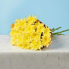 Yellow Daisy Bouquet