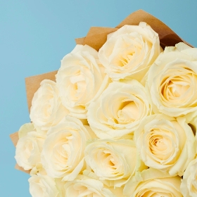 20 White Roses